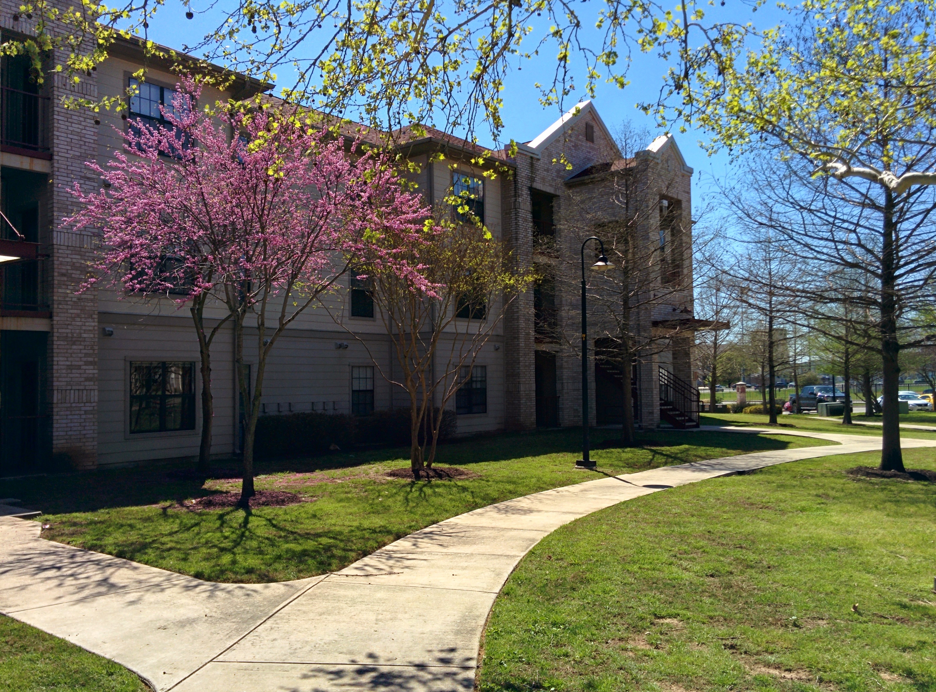 My building during my first year at Texas State